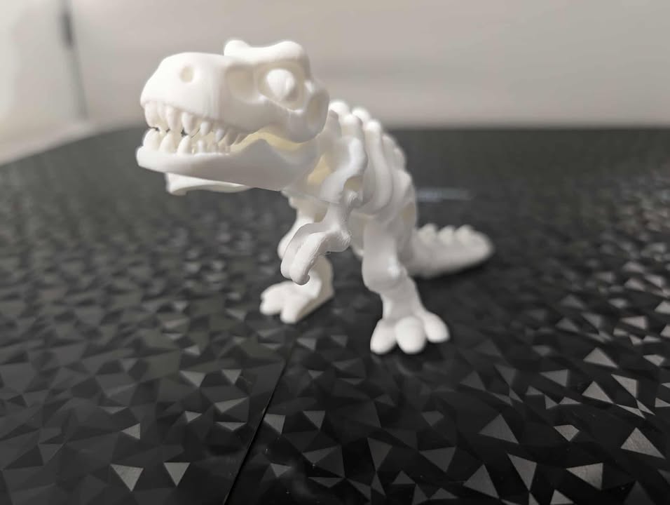 Articulated T-Rex Skeleton