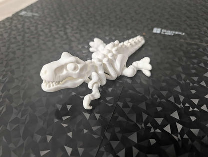 Articulated T-Rex Skeleton